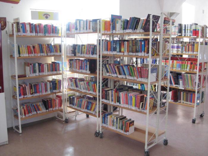 Mediothek Bücherregale